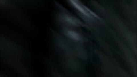 81