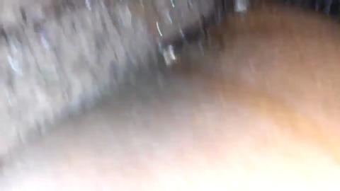 33592