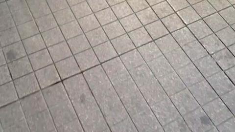 8092
