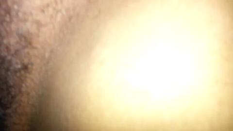 3091