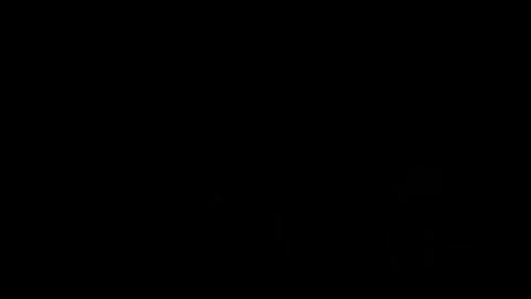 25004